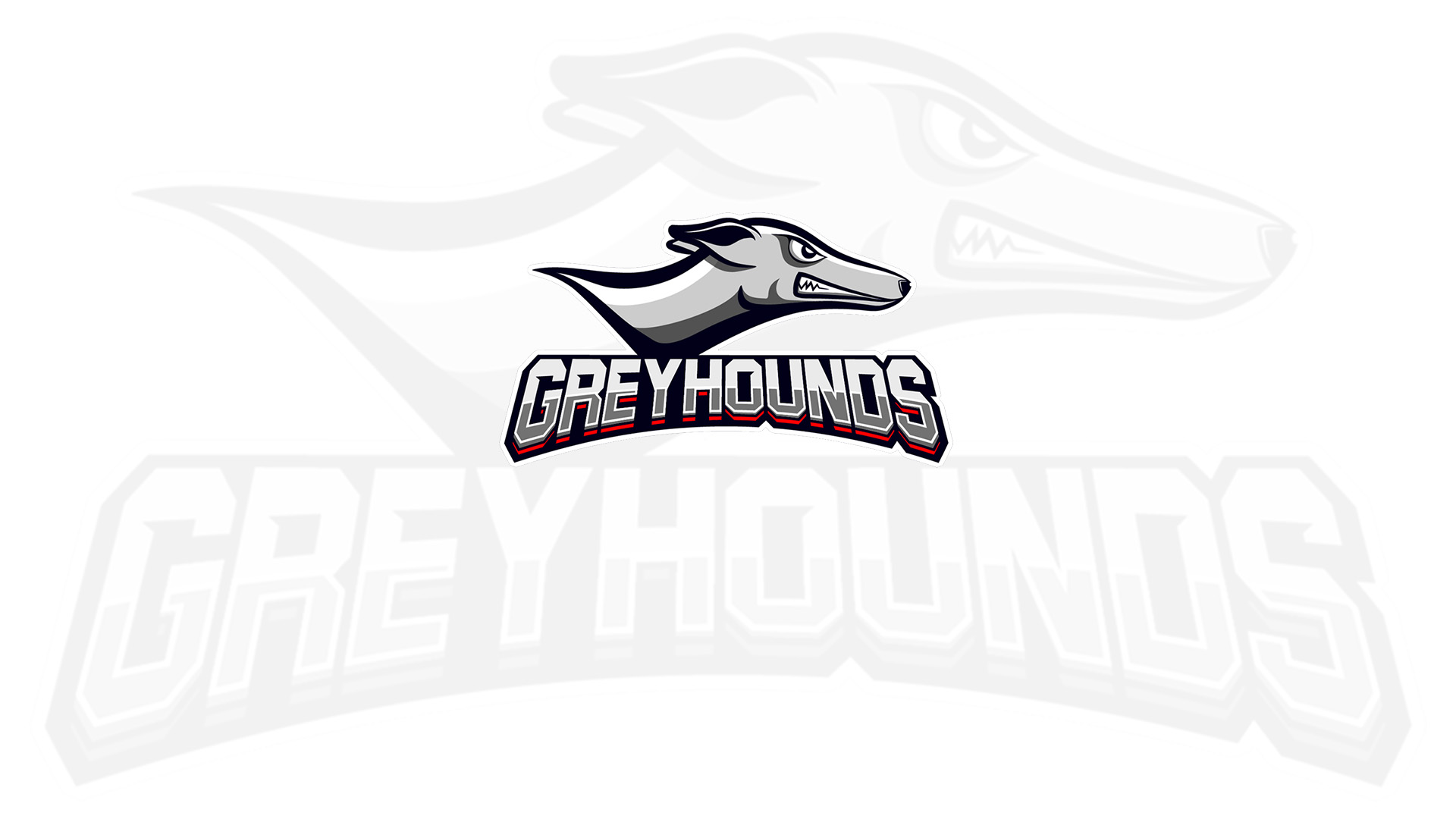 Join Us in Sending Off our Greyhound Basketball Team
