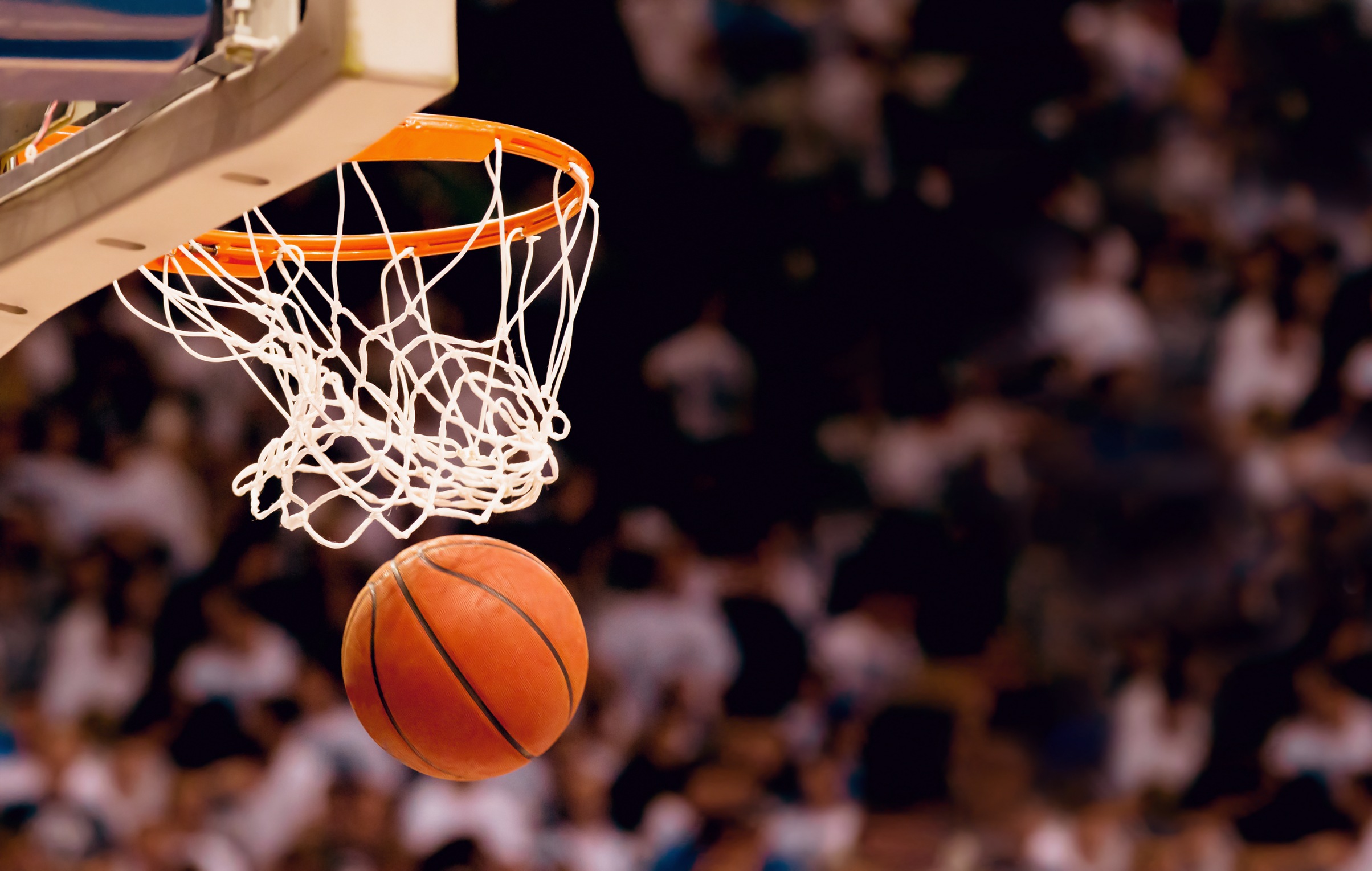 MACC GREYHOUNDS CAPTURE REGION 16 CHAMPIONSHIP