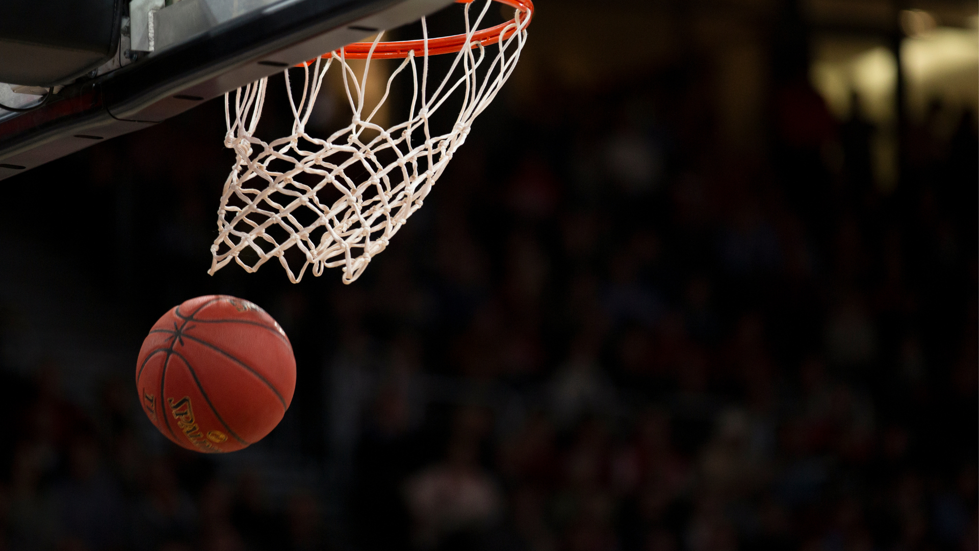 MACC GREYHOUNDS WINNING STREAK AT 3 GAMES